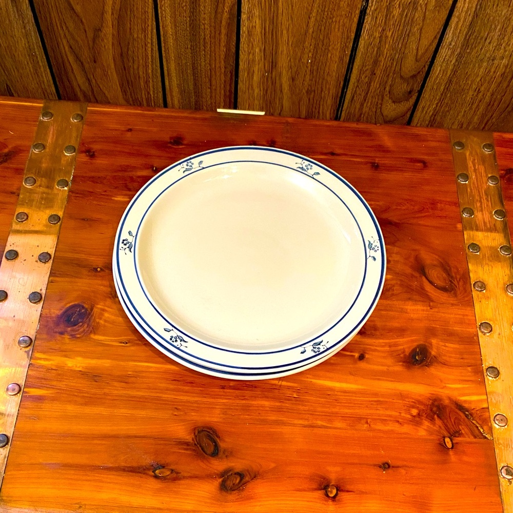 Brickoven Stoneware Scandia Blue vintage Plates